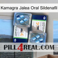 Kamagra Oral Jelly Sildenafil viagra5